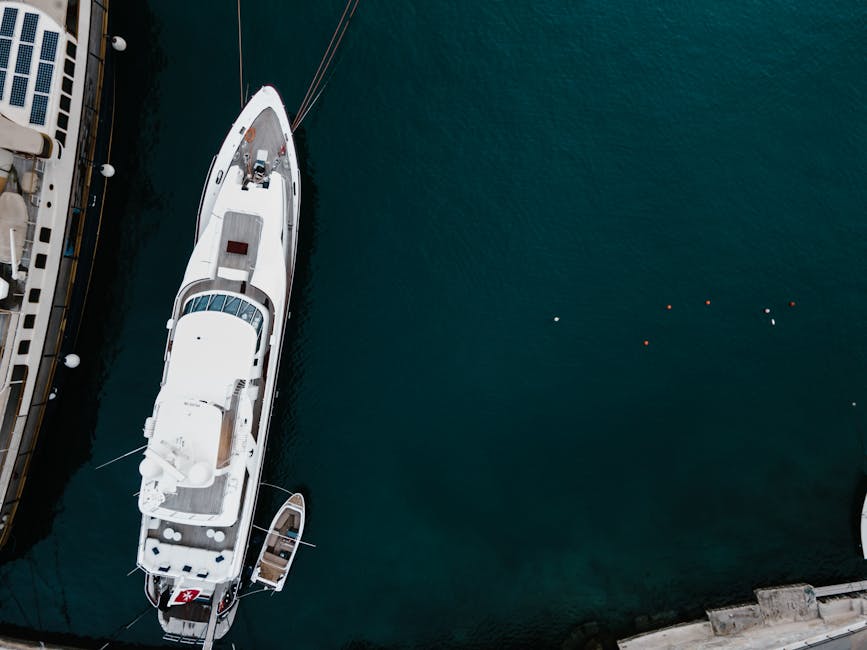 WebGPU Görsel Sınıflandırma: Tarayıcı Inferansı Rehberi